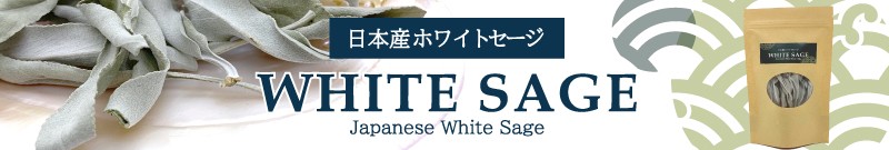 日本産ホワイトセージ 無農薬の国産ホワイトセージで浄化
