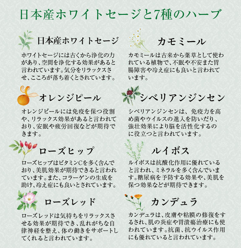 ホワイトセージ（Japanese White Sage cure）（セイジ・seiji・ヤクヨウサルビア・ハーブ・Salvia）による毎日の浄化が難しい場合は水晶さざれ石による浄化（パワーストーン天然石ブレスレット）