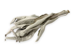 毎日行いたい浄化は、ホワイトセージ（Japanese White Sage cure）（セイジ・seiji・ヤクヨウサルビア・ハーブ・Salvia）による浄化（パワーストーン天然石ブレスレット）