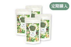 毎日行いたい浄化は、ホワイトセージ（Japanese White Sage cure）（セイジ・seiji・ヤクヨウサルビア・ハーブ・Salvia）による浄化（パワーストーン天然石ブレスレット）