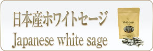 日本産ホワイトセージ