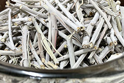 日本産ホワイトセージ（Japanese White Sage cure）（セイジ・seiji・ヤクヨウサルビア・ハーブ・Salvia）の枝のみグラム単位量り売り